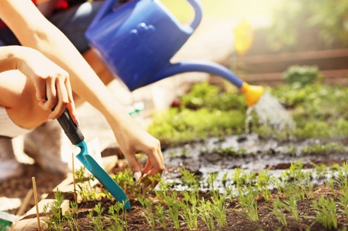 Gardener team at work in a Wembley garden near terraced houses