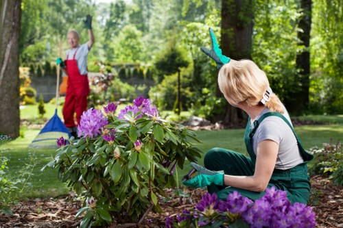 Logo or illustration representing Gardener Wembley at the start of the policy