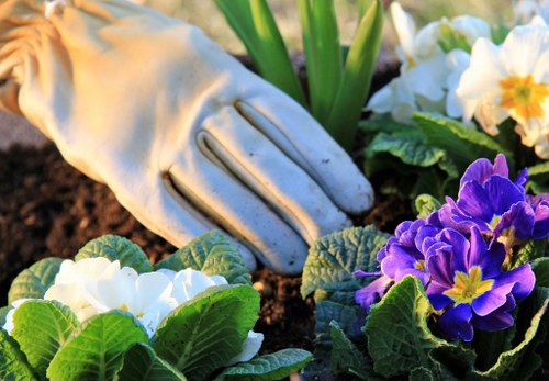 Lush Wembley garden showcase by Gardener Wembley