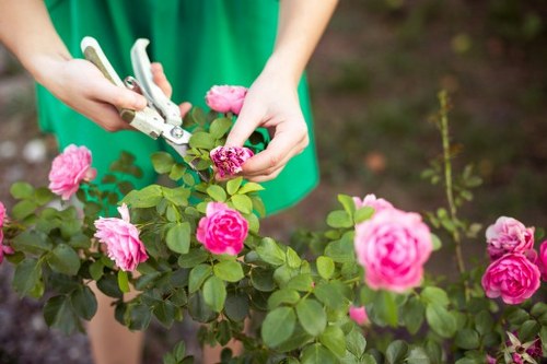 Gardener demonstrating garden care techniques for accessibility